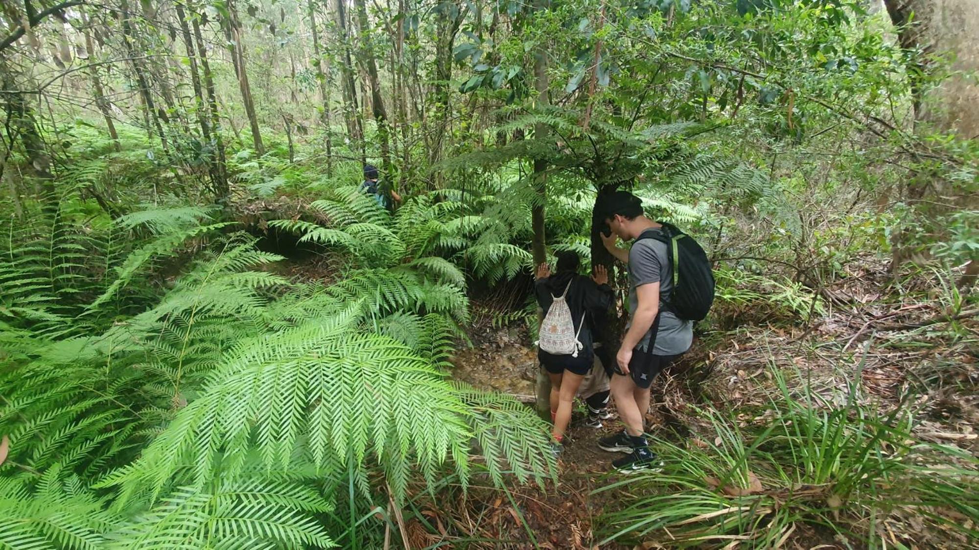 Flying Fox Backpackers Vandrarhem Katoomba Exteriör bild